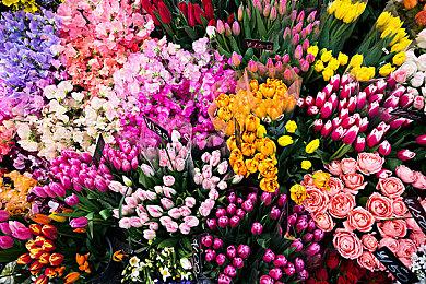 3DM速报：《地平线5》Steam预购开启 《街霸》豪鬼联动怪猎崛起